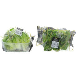 SALADE SUCRINE DULCE RAVIER 5X6PCS